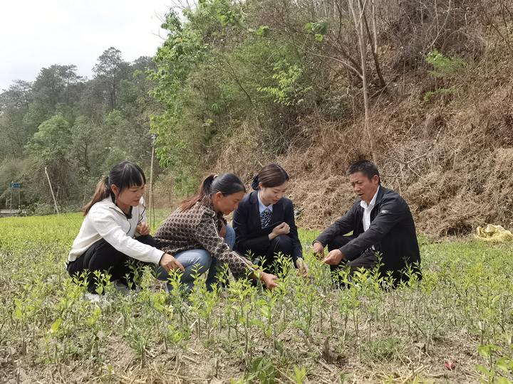 星空体育(中国)官方网站邮储银行黔西南州分行：浇灌“金融春雨” “贷”动春耕备耕(图4)