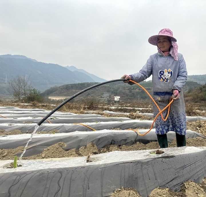 星空体育(中国)官方网站邮储银行黔西南州分行：浇灌“金融春雨” “贷”动春耕备耕(图2)